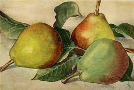 Peer (Kruidenierspeer)