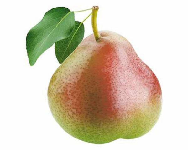 Peer (Zoete brederode)